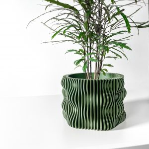 Muxelplanter
