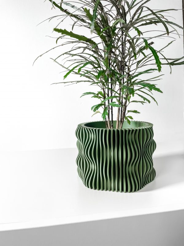Muxelplanter