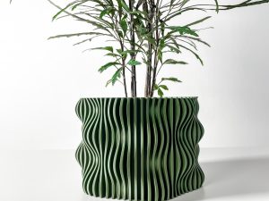 Muxelplanter