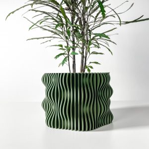 Muxelplanter