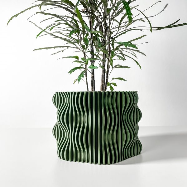 Muxelplanter
