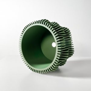 Muxelplanter