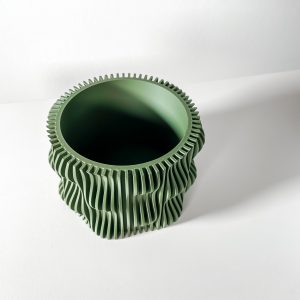 Muxelplanter