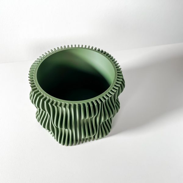 Muxelplanter